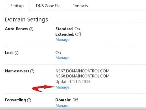 manage-dns