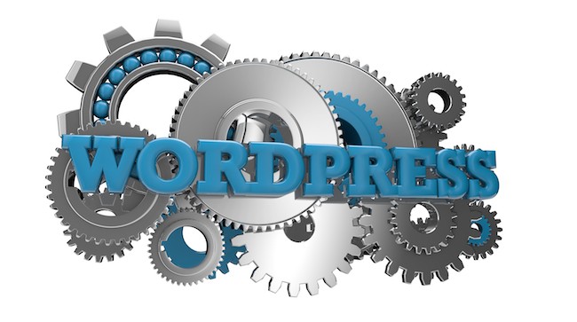 Choosing the Right Options and Settings for Your WordPress Blog
